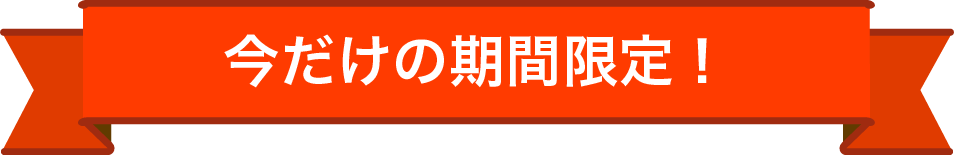 今だけの期間限定!